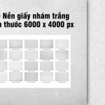 Combo 20 phông nền giấy nhám trắng