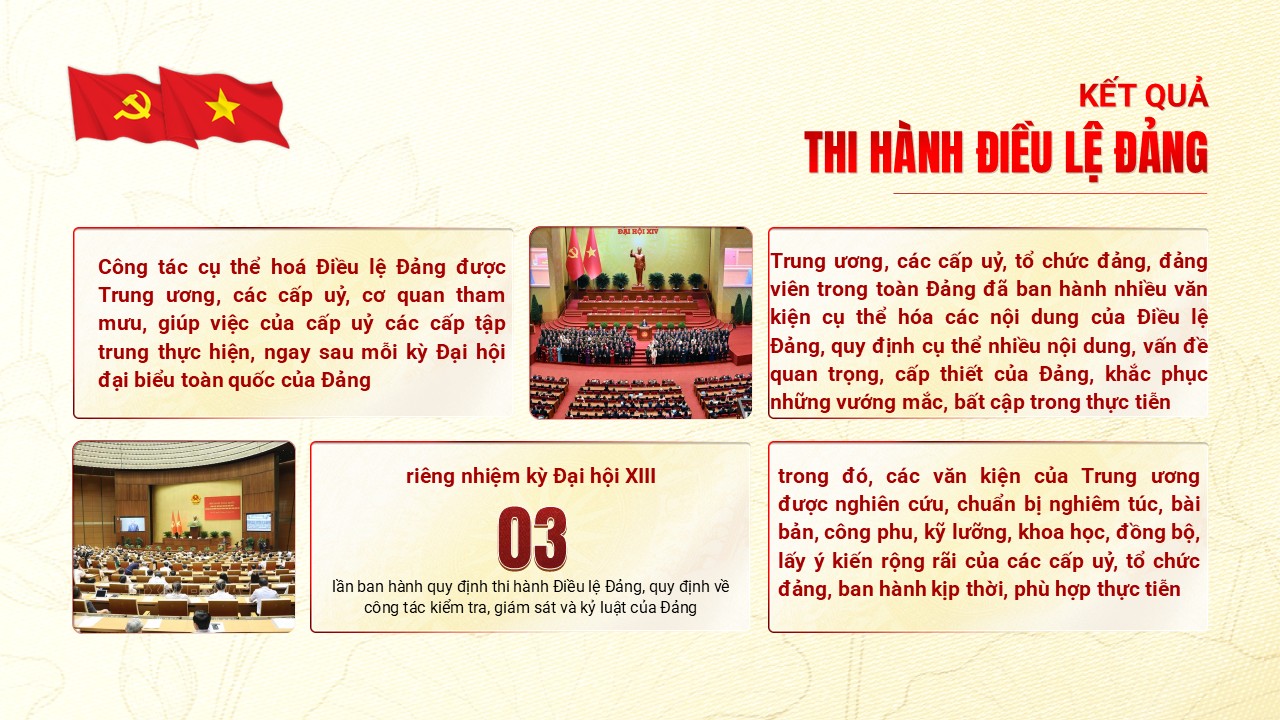 Thị hành Điệu lệ Đảng