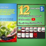 Cuộc thi viết về bảo vệ môi trường trong quân đội năm 2026