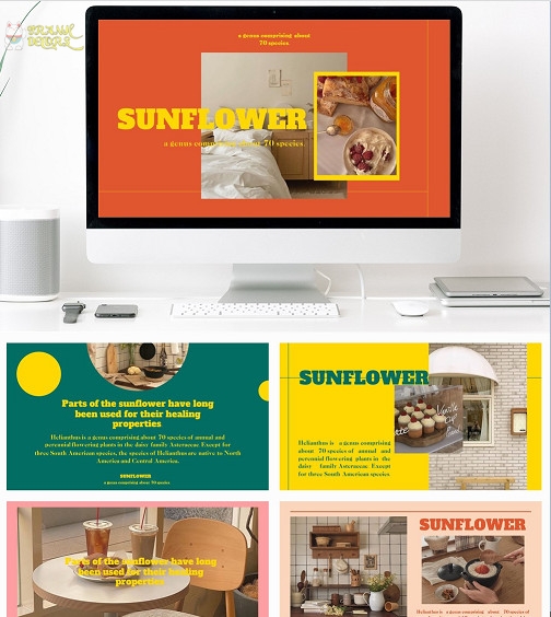 Slide PowerPoint Sunflower